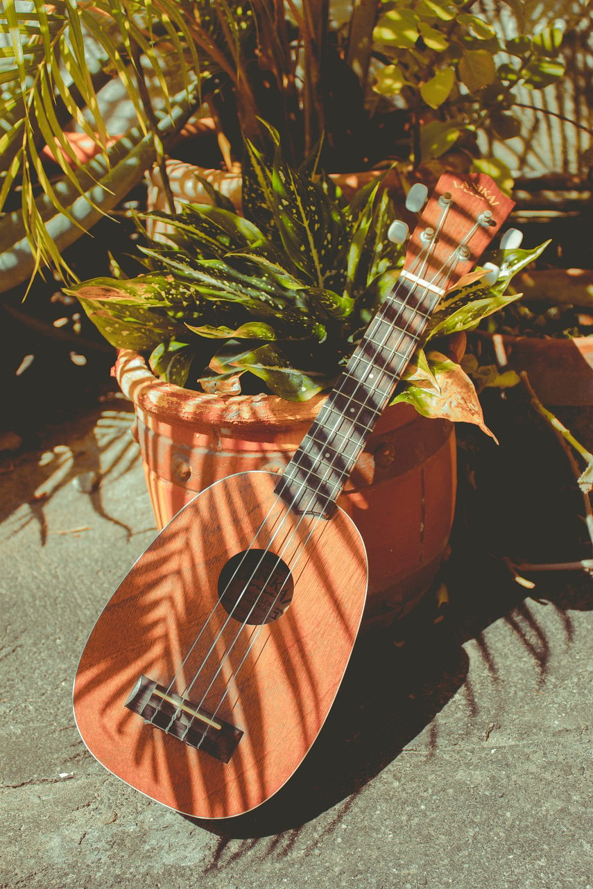 Brown Ukulele Leaning on Flower A Terracotta Pot Outdoor