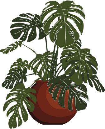 Indoor Plant Illustration